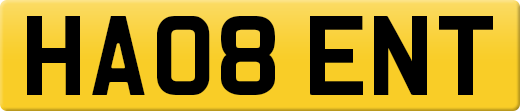 HA08ENT